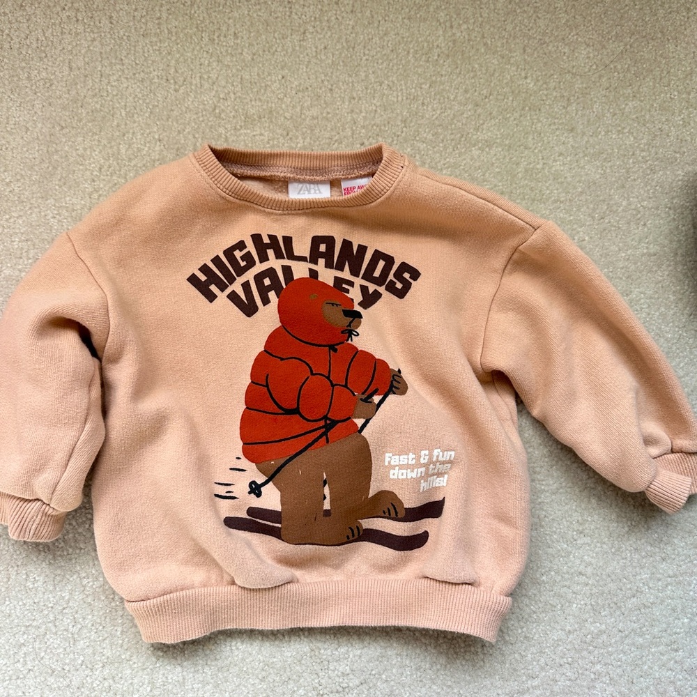 Zara toddler Sweatershirt hoodie 12-18month